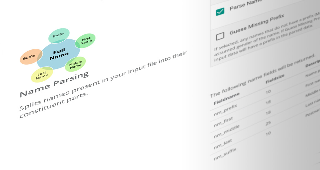 DIY Portal name parsing services