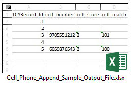 Cell Phone Append Output File Sample