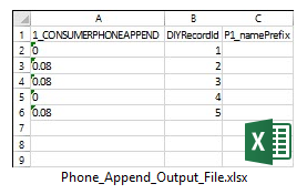 Phone Append Output File Sample