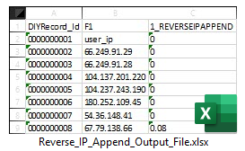 Reverse IP Append Output File Sample